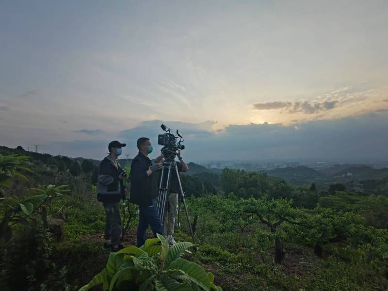 创意破圈！康乐县电商产品宣传视频用故事化叙事引爆流量