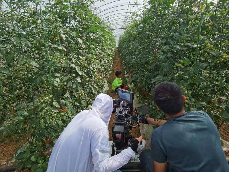 康乐县产品宣传视频拍摄公司进阶指南，助力品牌抢占传播高地